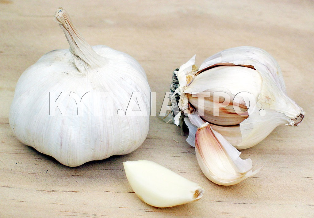 Σκόρδα. <br/> Πηγή: https://commons.wikimedia.org/wiki/File:Garlic.jpg