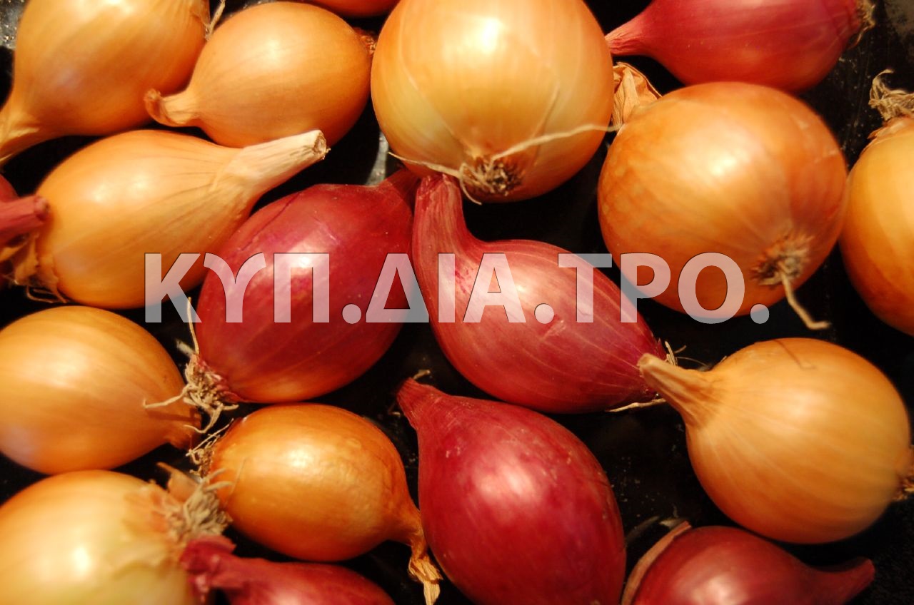 Κοννάρι, μικρά κρεμμύδια που νοστιμίζουν τη συνταγή <br/> ilovebutter, https://www.flickr.com/photos/jdickert/247703955.