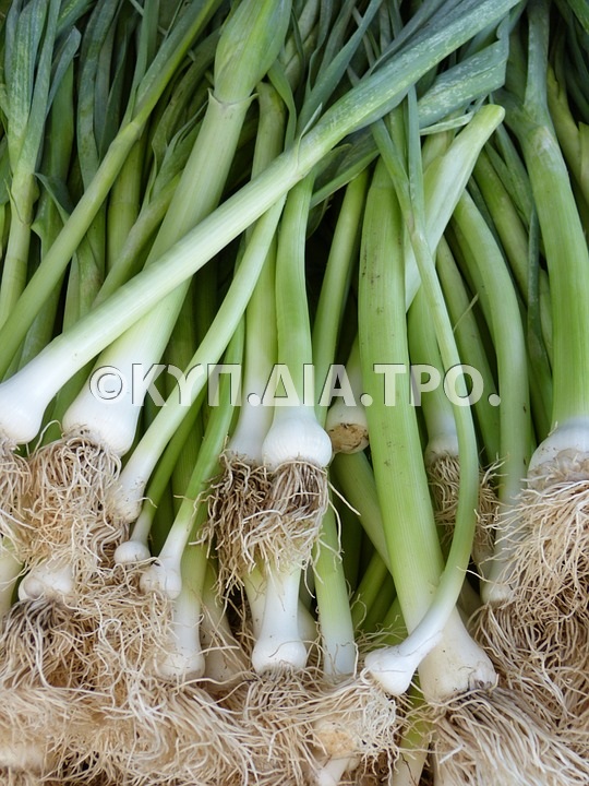 «Πράσα» <br/> Πηγή: https://pixabay.com/en/leek-spring-onion-food-market-65277/
