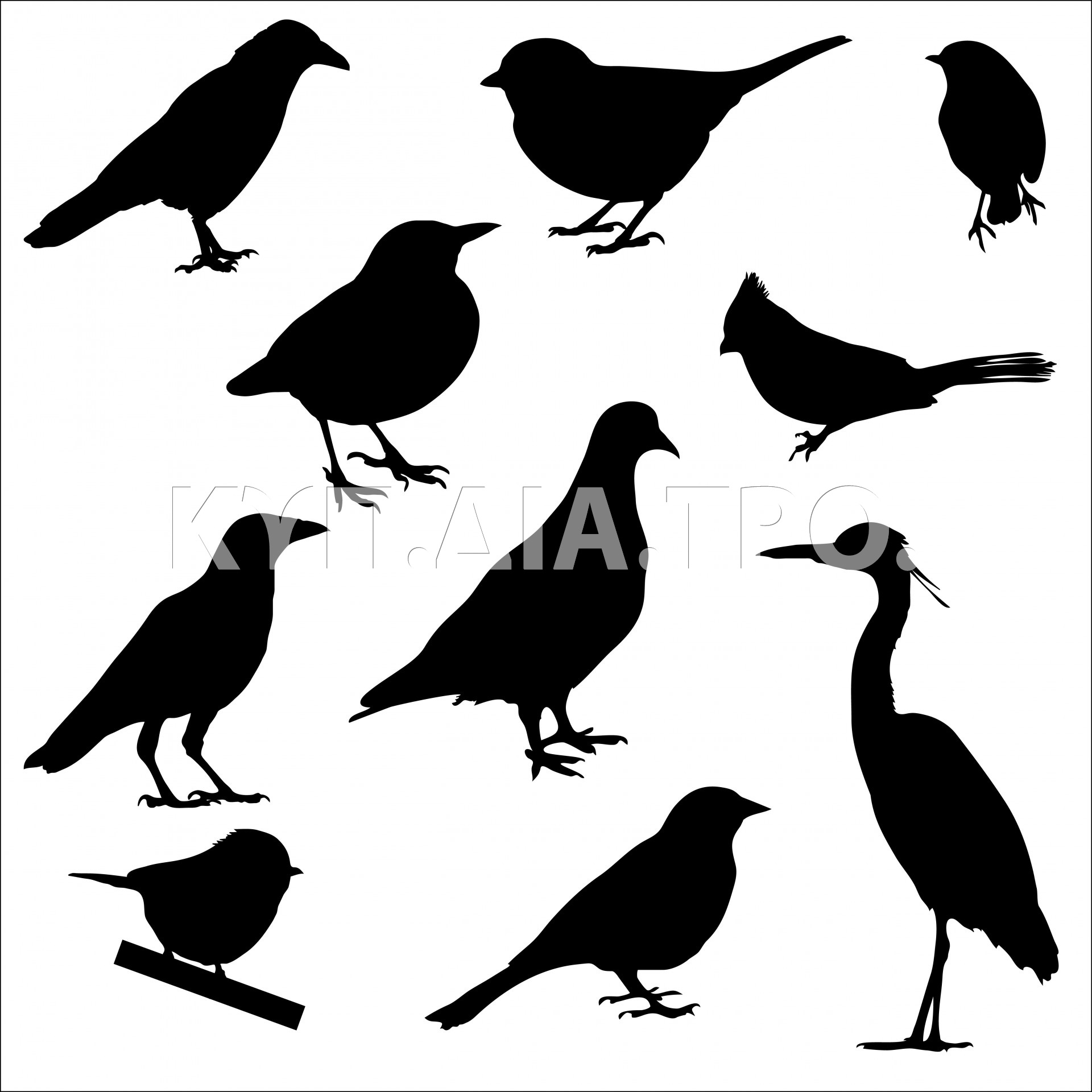 «Πουλιά διαφόρων ειδών» <br/> Πηγή: http://www.publicdomainpictures.net/view-image.php?image=82762&picture=bird-silhouettes