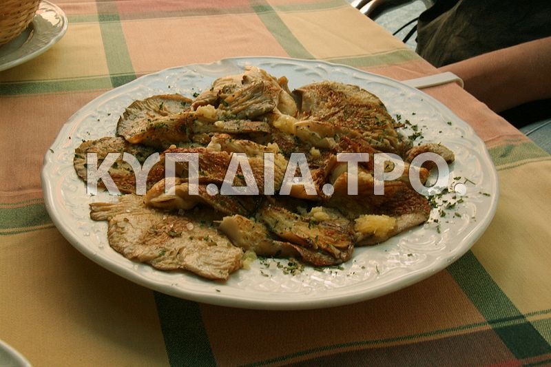 Μανιτάρια της αναθρήκας άσπρα, μαγειρεμένα. <br/> Πηγή: Tamorlan, https://commons.wikimedia.org/wiki/File:Setas_de_cardo-_a_la_plancha.jpg