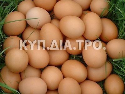 «Αβγά κότας» <br/> Πηγή: http://www.tsantiri.gr/zoi/pos-na-xechorisis-ta-bagiatika-avga-apo-ta-freska/